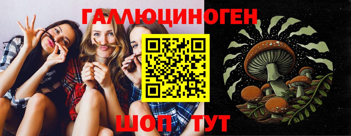 цена наркотик  Вход с VPN  Галлюциногенные грибы Magic Shrooms  Горячий Ключ  Псилоцибиновые грибы Magic Shrooms 